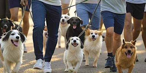 Canine Dash by Hounds of Erie Winery | Hounds of Erie Winery