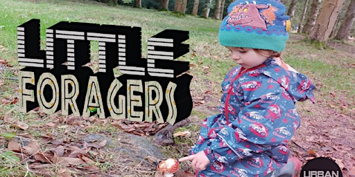 LITTLE FORAGERS - KIDS ROCK POOLING - BRIGHTON - HALM TERM | Rottingdean Beach
