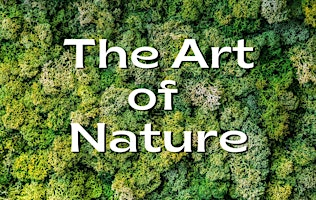 The Art of Nature Summer Camp | gilbert w. perry, jr. center for the arts