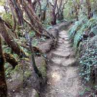 Enjoyable trail