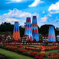 CELOSIA FLOWER PARK