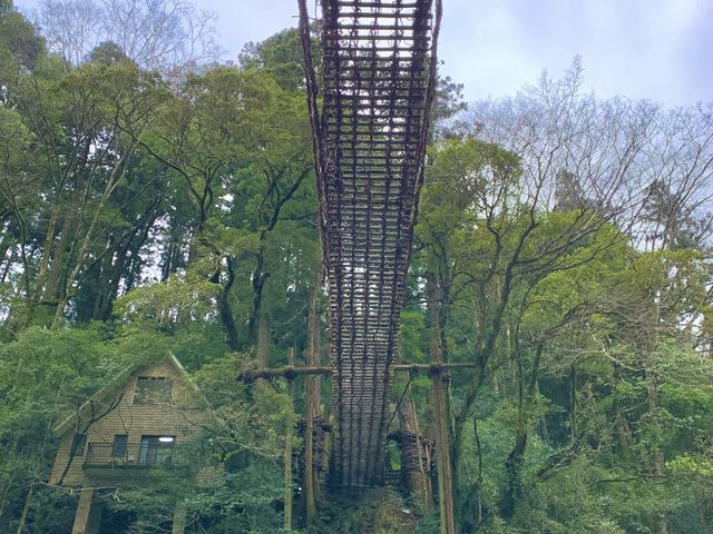 【徳島旅行】日本三大秘境のひとつ！！
