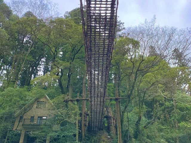 【徳島旅行】日本三大秘境のひとつ！！