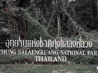 ทุ่งแสลงหลวง ....🍃