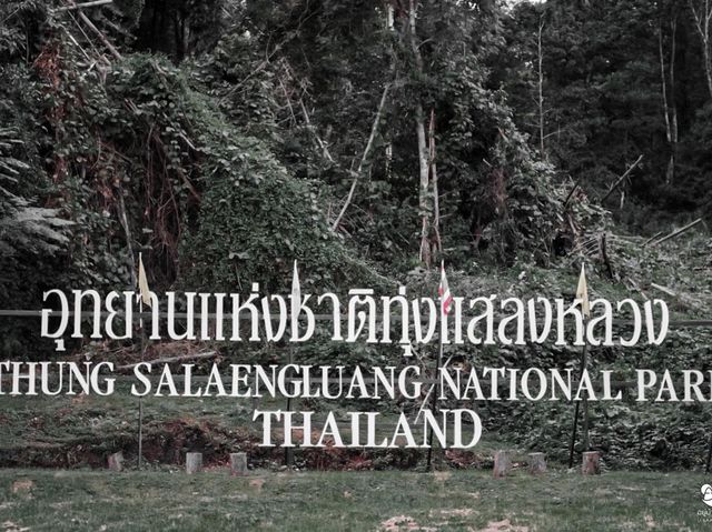 ทุ่งแสลงหลวง ....🍃