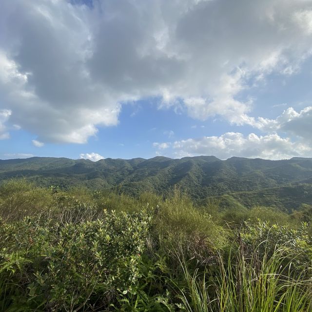 大埔行山路線推介 / 去睇粉紅岩石﹗