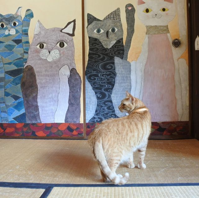 猫猫寺(開運ミュージアム?!)