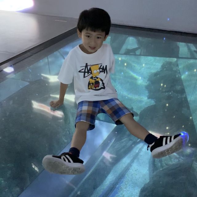 體驗不一樣的水族館 | 曼谷旅行