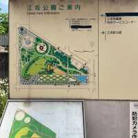 江坂公園めちゃくちゃ広すぎる😳⸜🌷︎⸝‍