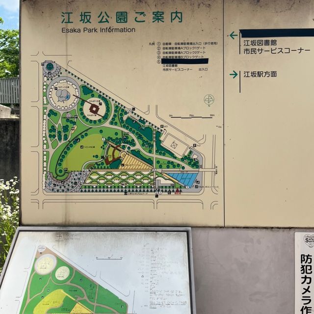 江坂公園めちゃくちゃ広すぎる😳⸜🌷︎⸝‍