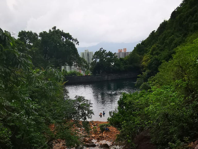 鬧市中的綠洲—牛鳥水塘