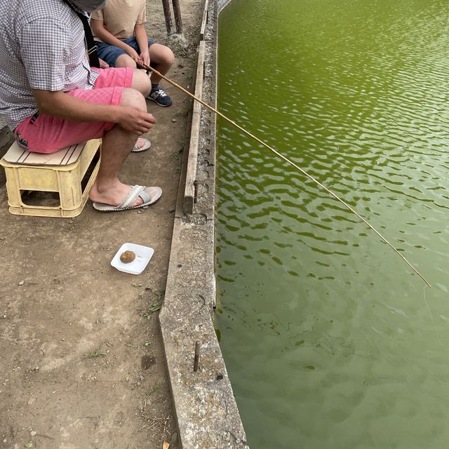 こんな所に！知る人ぞ知る釣り堀緑水園
