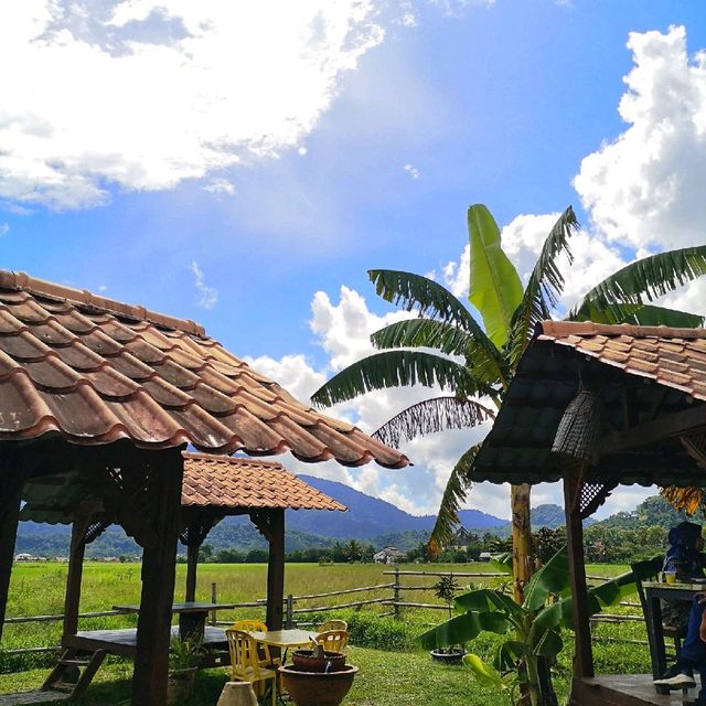 Must Eat In Langkawi Island! 