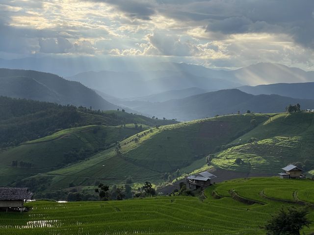 ป่าบงเปียง นาขั้นบันไดที่สวยที่สุดในไทย 🍃