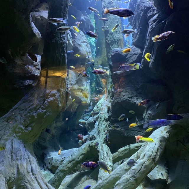 Seville aquarium 