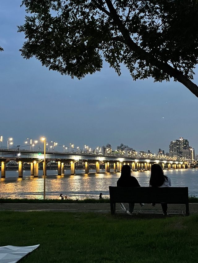 마음이 편안해지는 여의도 한강공원 🏞