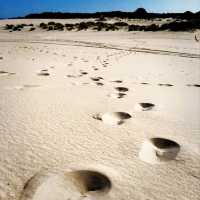 One of the Top 10 Beaches in Tasmania