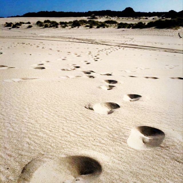 One of the Top 10 Beaches in Tasmania