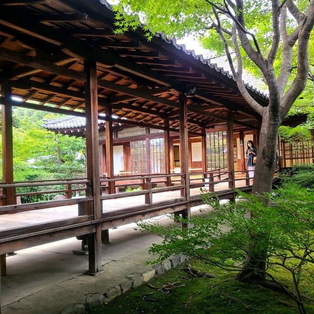 永い年月を経てタイムスリップした空間へ【潮音庭（ちょうおんてい）】✨