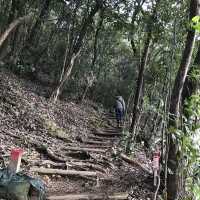 🇯🇵 參觀戰國名將的邸宅 — 岐阜公園及百曲登山道
