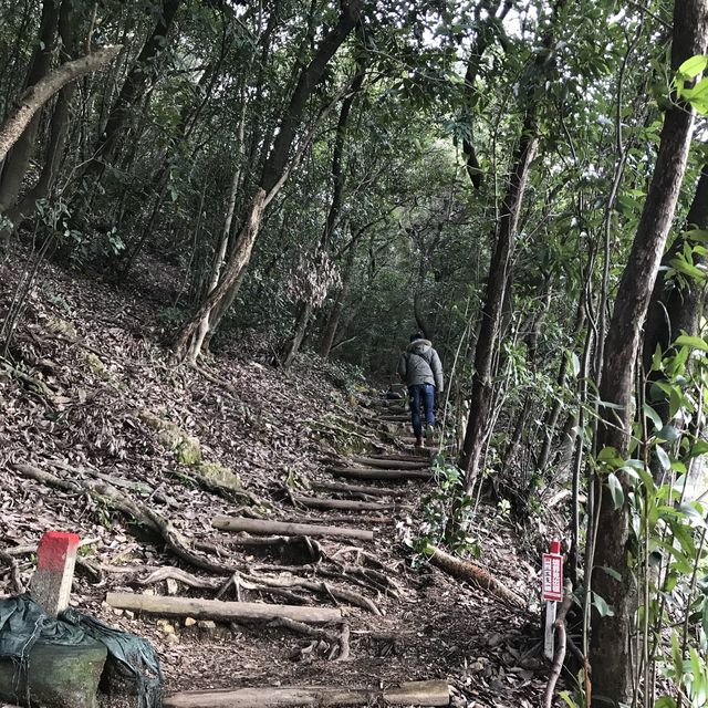 🇯🇵 參觀戰國名將的邸宅 — 岐阜公園及百曲登山道