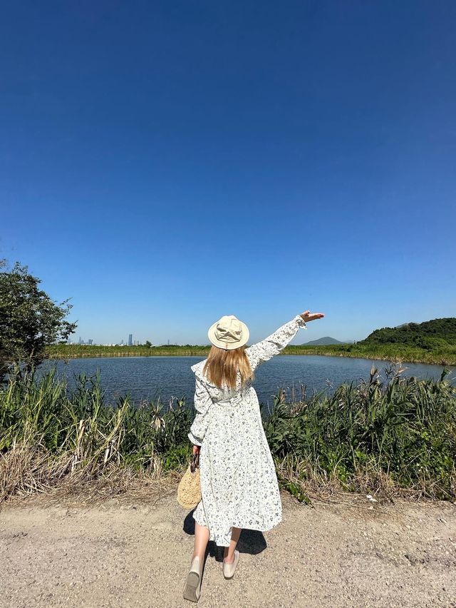 📍元朗朗屏｜欣賞魚塘及深圳skyline