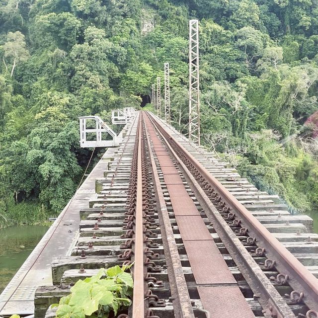 苗栗鐵道自行車｜悠閒的看風景好選擇