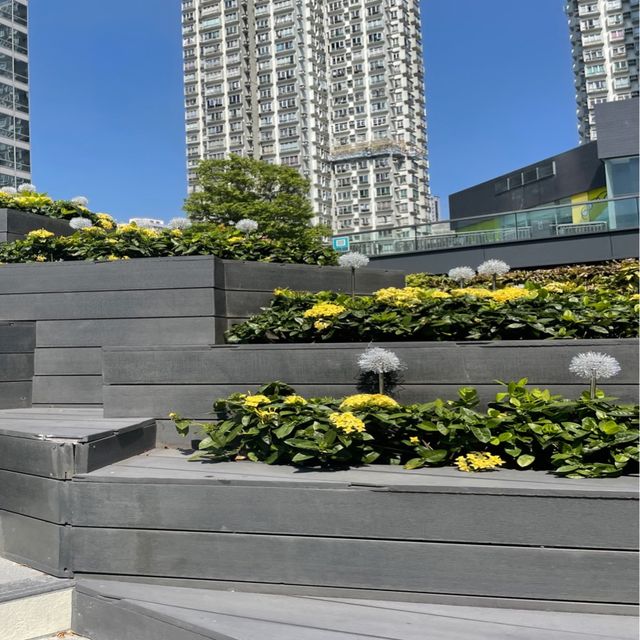葵芳新都會廣場露天令令打卡位❤️‼️蒲公英之町