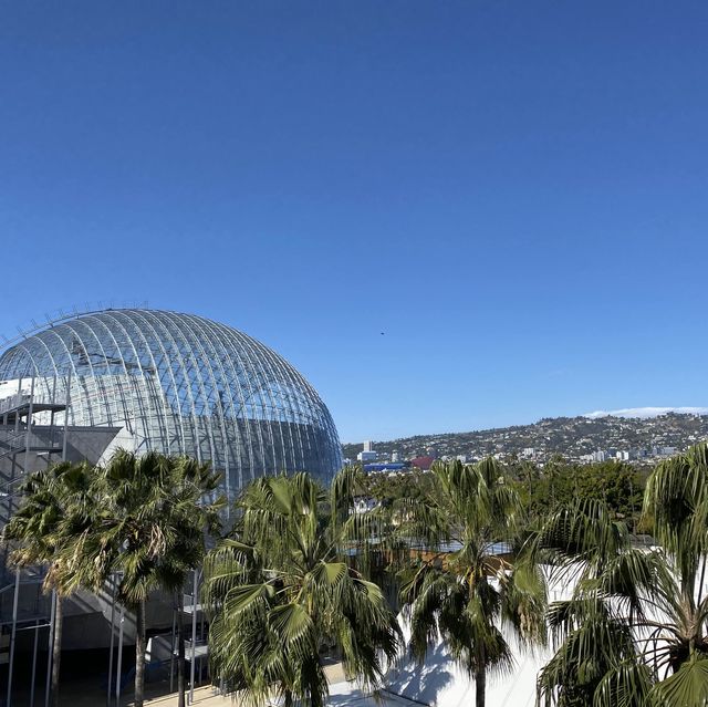 LA 최고의 미술관 ‘LACMA’🏛️