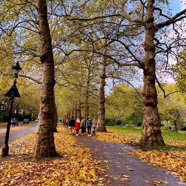 St James Park 