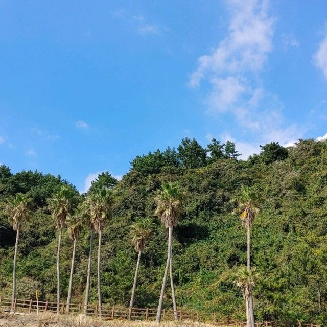 제주도 서귀포에 있는 중문색달 해수욕장을 가보자