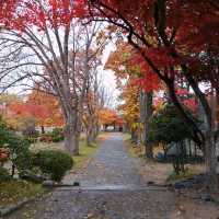 岩手県！盛岡城跡公園の紅葉