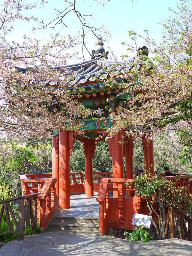 [제주 용연계곡]계곡이 이렇게 이쁠 수 있나..? 