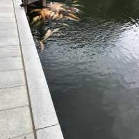 四季的風景的濃縮 - 廣島縮景園