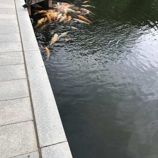 四季的風景的濃縮 - 廣島縮景園
