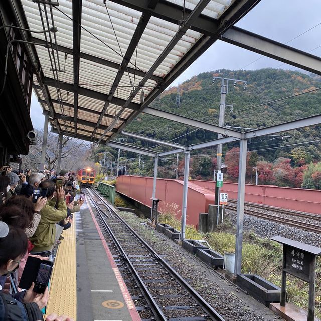 另一種體驗嵐山的方法 – 嵯峨野觀光小火車(嵯峨野トロッコ列車)