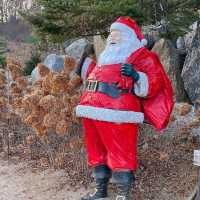 서울근교에서 산타가 가장 많은곳은 여기 🤶🧑🏻‍🎄🎅