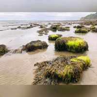 凡人去考古～英國南部Jurassic Coast