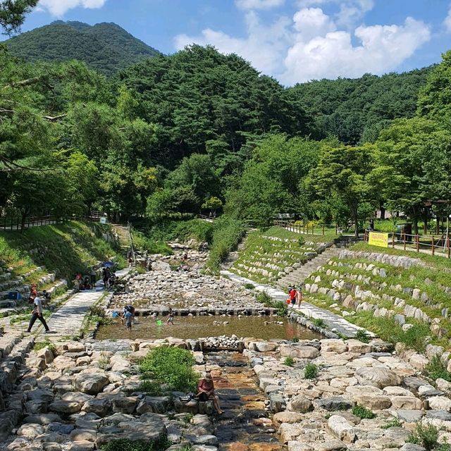 경기도 양평 나들이 추천 '용문사'