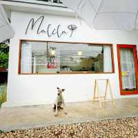 มะลิลา เชียงใหม่☕ ร้านกาแฟไซส์มินิ🏠