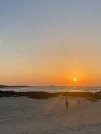노을맛집 🌅 피크닉