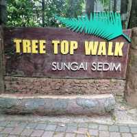 Tree Top Walk Sungai Sedim Kedah 🇲🇾