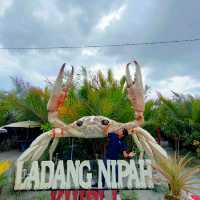huge crab at ladang nipah khipli