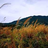 山脈奇特的雞公嶺