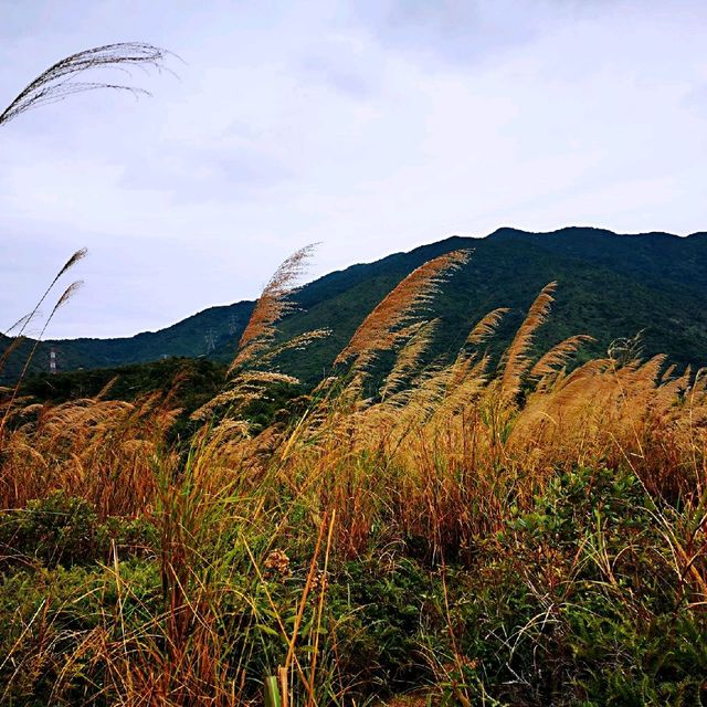 山脈奇特的雞公嶺