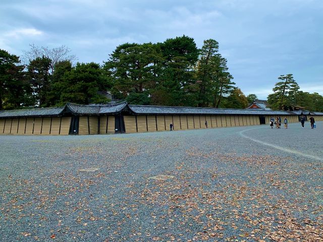 京都　KYOTO SAKURAめぐり❗️京都御苑の車返桜に感動❗️