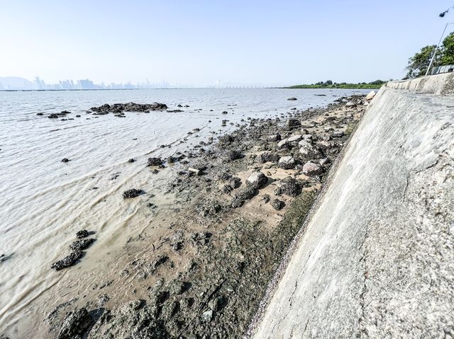 最美海景 下白泥