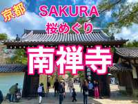 京都　SAKURA 桜めぐり❗️南禅寺の桜に感動❗️