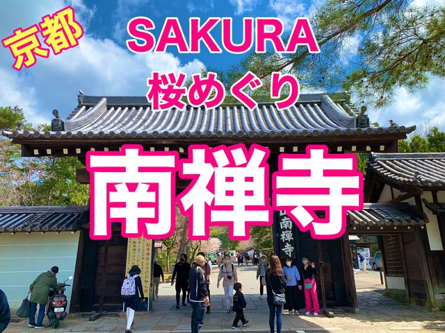 京都　SAKURA 桜めぐり❗️南禅寺の桜に感動❗️