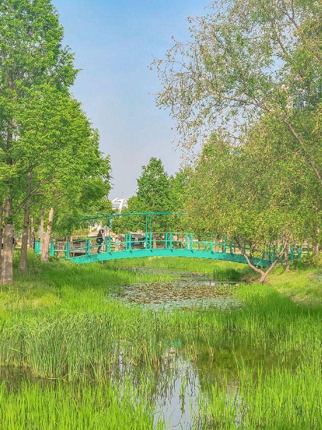 가볍게 산책하기 좋은 #태화강국가정원 🌿 